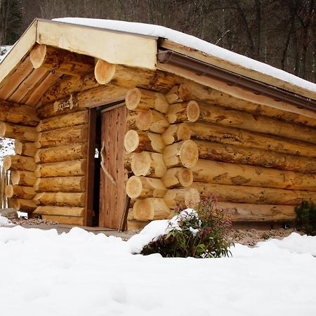 Logis Hotel Restaurant De La Poste Et Spa De Montagne Le Bonhomme Dış mekan fotoğraf