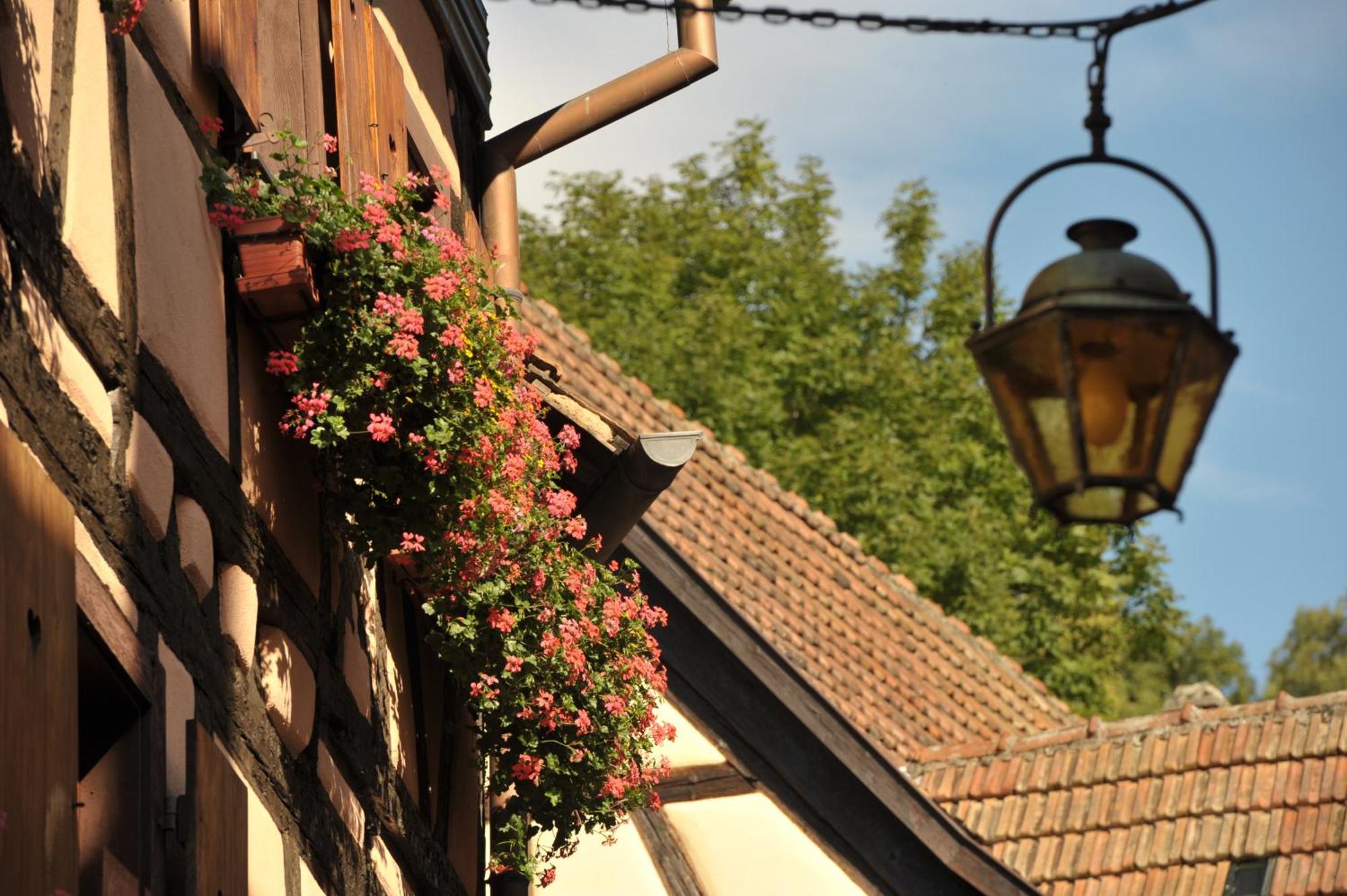 Logis Hotel Restaurant De La Poste Et Spa De Montagne Le Bonhomme Dış mekan fotoğraf